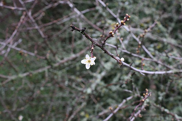 Ruta senderista Torcal de Antequera y Caminito del Rey (Mlaga) - 102